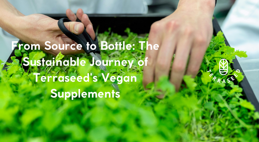 From Source to Bottle: The Sustainable Journey of Terraseed's Vegan Supplements