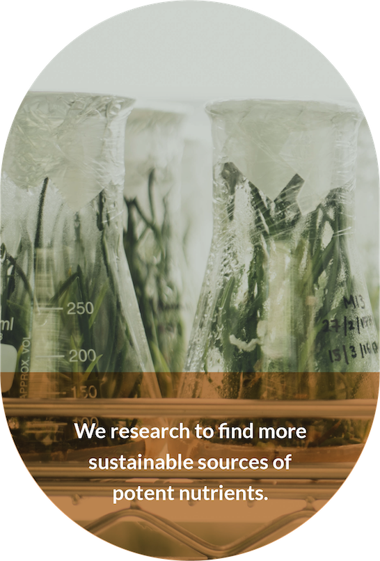 Traceable, Sustainable Ingredients