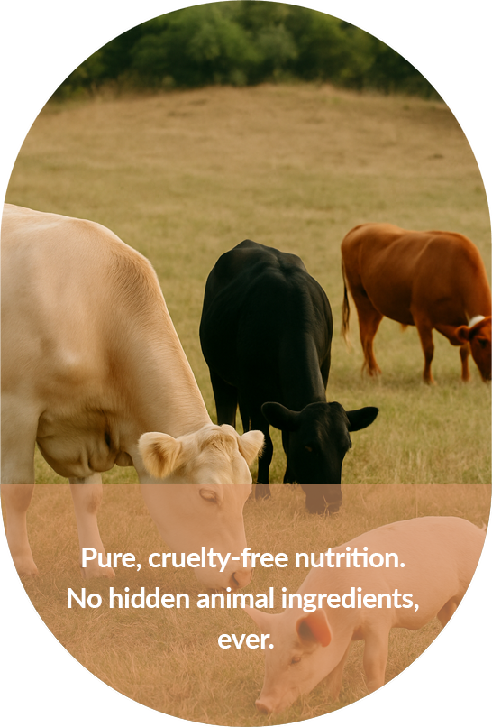 100% Animal-Free, Always