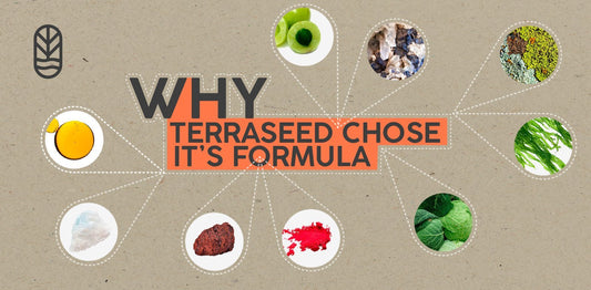 Why Terraseed Chose Its Formula