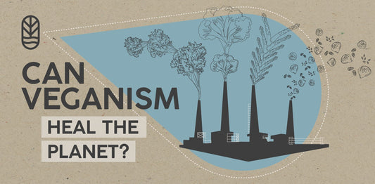 Can veganism heal the planet?