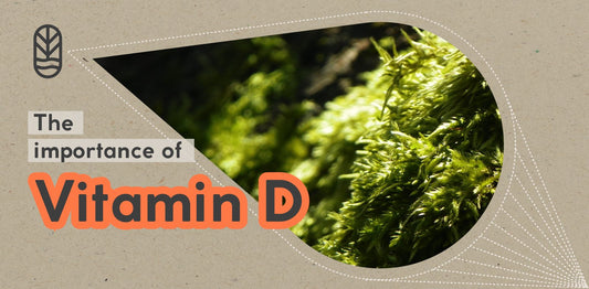 Vegan Vitamin D: All You Need to Know as a Vegan and Vegetarian