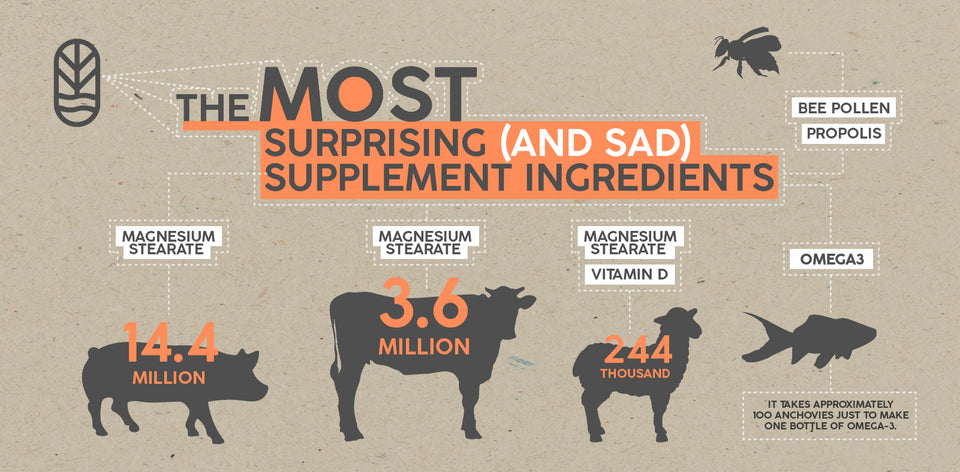 Animal Ingredients Used In Supplements (that will surprise you!)