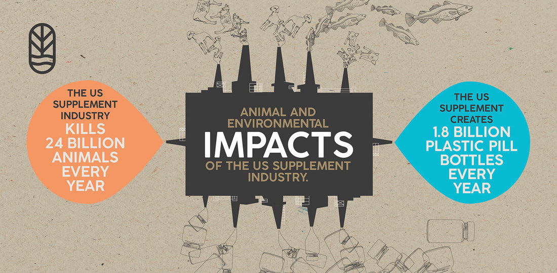 The Animal and Environmental Impacts of the Supplement Industry: A Summary of Our Findings