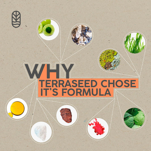 Why Terraseed Chose Its Formula