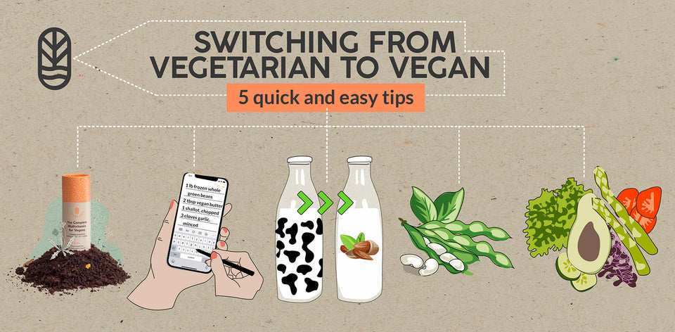 Tips for a Successful Transition from Vegetarian to Vegan