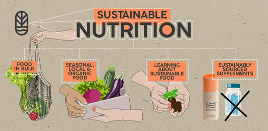 The Importance of Sustainable Nutrition