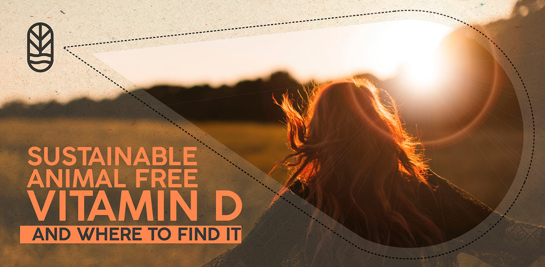 Sustainable, Animal-Free Vitamin D and Where to Find It